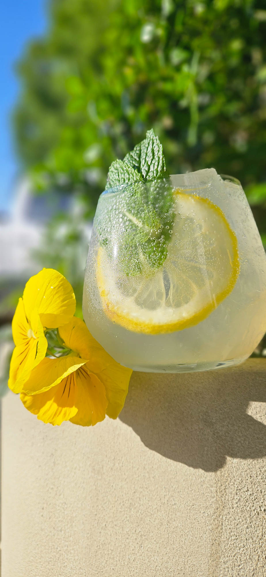 MINTED SPRING FIZZ at Elevate Cartersville